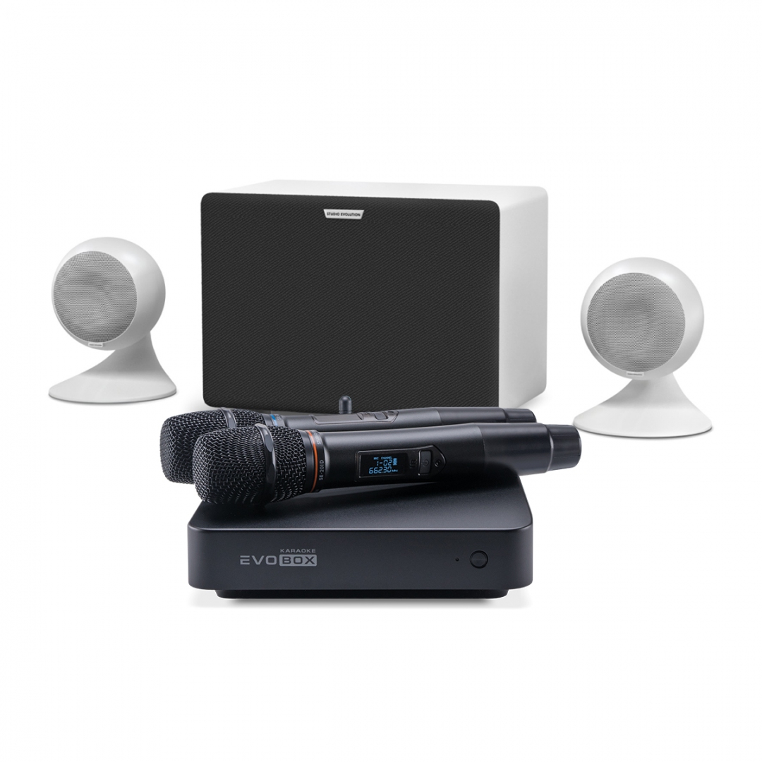 караоке-комплект EVOBOX Classic + EvoSound Sphere 2.1 в Луховицах