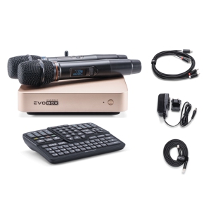 EVOBOX Classic караоке-система для дома в Луховицах