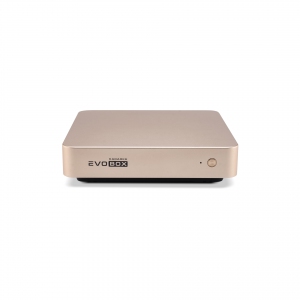 EVOBOX с микрофонами в Луховицах